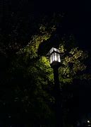 Image result for iPhone 8 Plus Low Light Photos