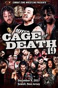 Image result for Czw Cage of Death