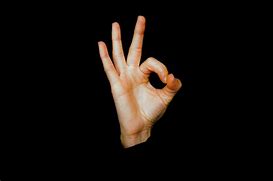 Image result for 0 Hand Sign
