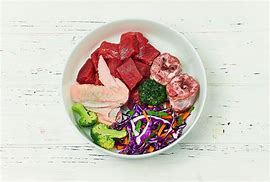 Image result for Homemade Raw Dog Food