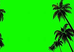 Image result for Palm Tree Greenscreen