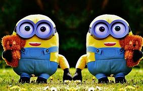 Image result for Minion Flowers