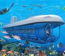 Image result for Aruba Submarine Tour