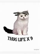 Image result for Thug Cat Edit