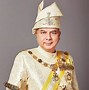 Image result for Tunku Nazrin