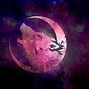 Image result for Loup Galaxy
