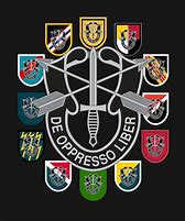 Image result for 19th Special Forces Group Icon