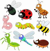 Image result for Insect Cartoon Characters