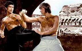Image result for Martial Arts Movies Fight Scenes