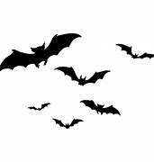 Image result for Transparent Bats Flying