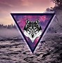 Image result for Galaxy Wolf Dragon