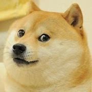 Image result for Doge Meme Wallpaper 1920X1080