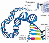 Image result for Unlock Your Nephilem Genes