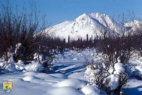 Image result for Winter Scenes Wallpaper iPhone