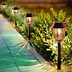 Image result for BackYard Solar Lights