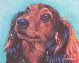 Image result for Dachshund Pencil Drawings