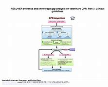 Image result for Veterinary CPR Recovery
