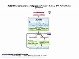Image result for Recover CPR Vet Algorithm