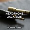 Image result for Female Headphone Jack