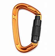 Image result for Heavy Duty Carabiner