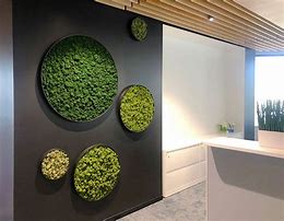 Image result for Interior Moss Wall