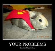 Image result for Problems Pic Funny