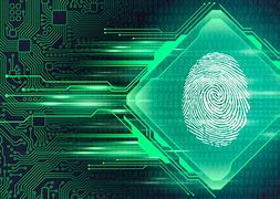 Image result for Biometric Fingerprint Identification