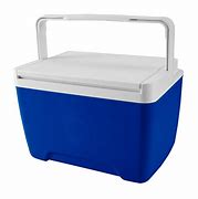 Image result for Igloo Mini Cooler
