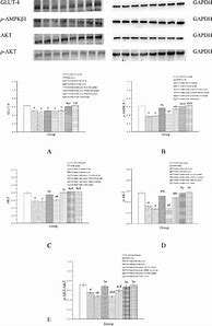 Image result for Lithium Carbonate 300 Mg CR