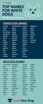 Image result for Black and White Dog Names Boy