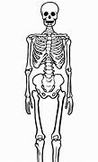 Image result for Halloween Skeleton Cut Out
