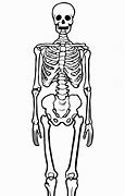 Image result for Skeleton Bones Pattern
