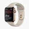 Image result for Apple Watch 4 ECG