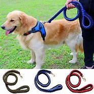 Image result for Nylon Rope Dog Leash