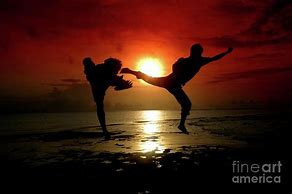 Image result for Two People Fighting