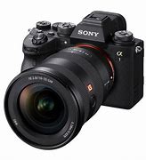 Image result for Sony Alpha Sample Pictures