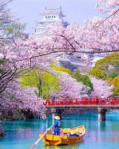Japan Travel: Blossoms, bridges, boats, and a castle for good measure - fairytale worthy! : @... - Alo Japan