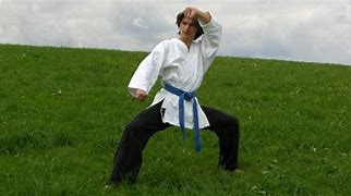 Image result for Types of Martial Arts List