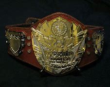 Image result for Row Wrestling Championship Belt