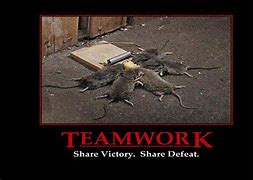 Image result for Teamwork Demotivational Poster
