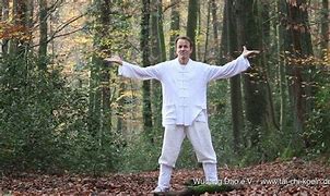 Image result for Amin Wu Tai Chi Cane 36 Form