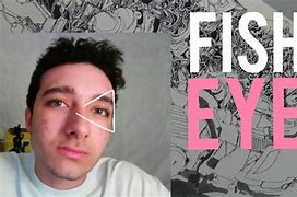 Image result for iPhone Fish Eye