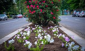 Image result for 2100 Connecticut Ave NW, Washington, DC 20008