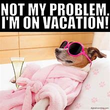 Image result for Have Fun On Vacation Meme