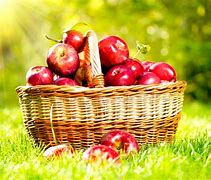 Image result for Healthy Habbits Fruits Apple