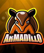 Image result for Team Armadillo