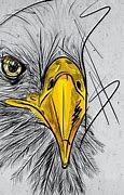 Image result for Flying Eagle Sketch