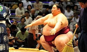 Image result for Biggest Sumo Wrestler of All Time