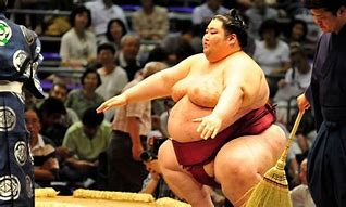 Image result for Lady Sumo Wrestlers