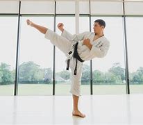 Image result for Karate for Fitness